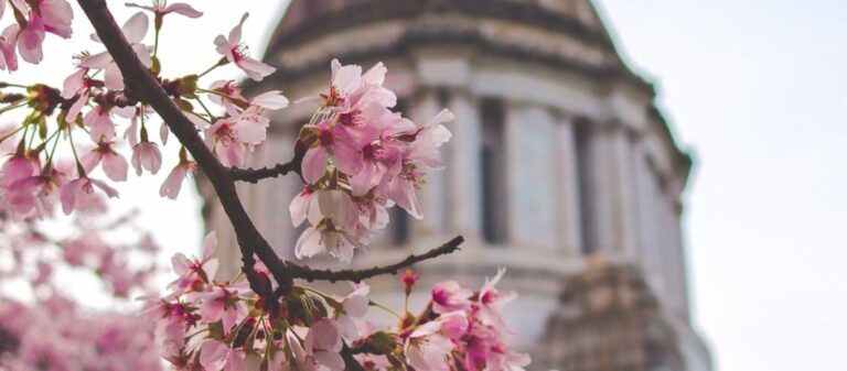 Blog 7 Visa Interviews Abroad Remain At A Stand Still In The New Year